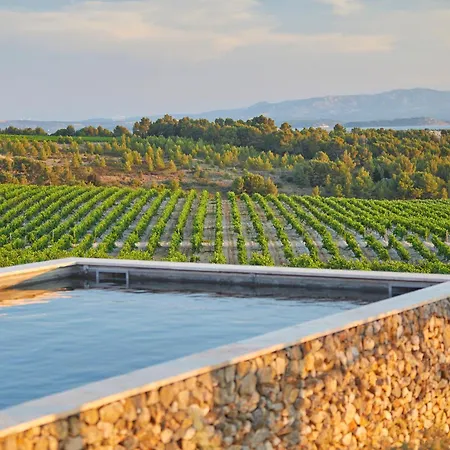 Chateau Capitoul נרבון