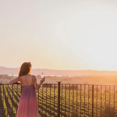 Château Capitoul Narbonne