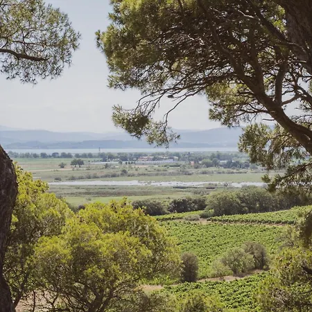 אתר נופש Chateau Capitoul