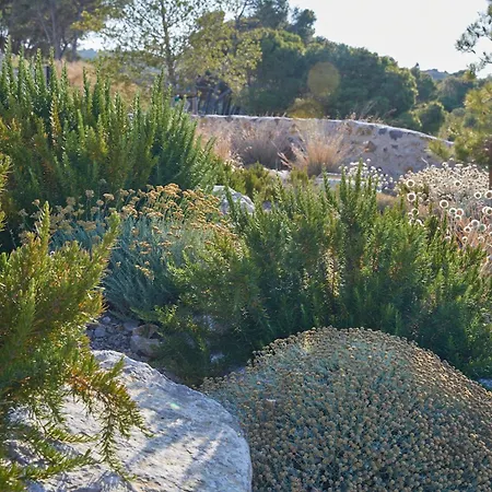 Chateau Capitoul 4* 나르본