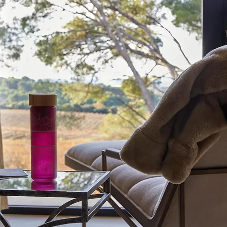 Chateau Capitoul 리조트