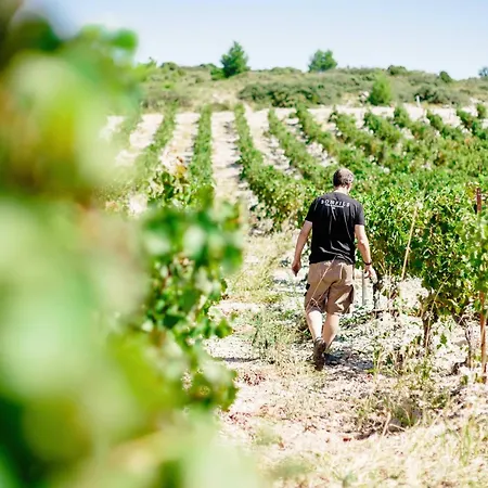 Chateau Capitoul 나르본