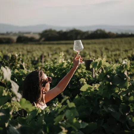 Chateau Capitoul 리조트