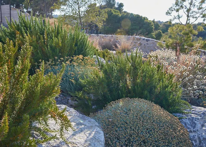 Château Capitoul 4* Narbona