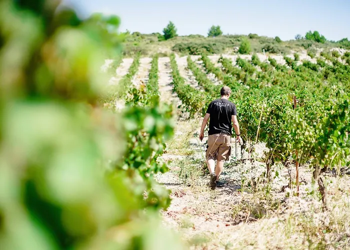 Chateau Capitoul Narbonne