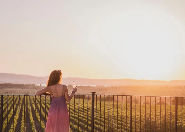 Château Capitoul Narbona