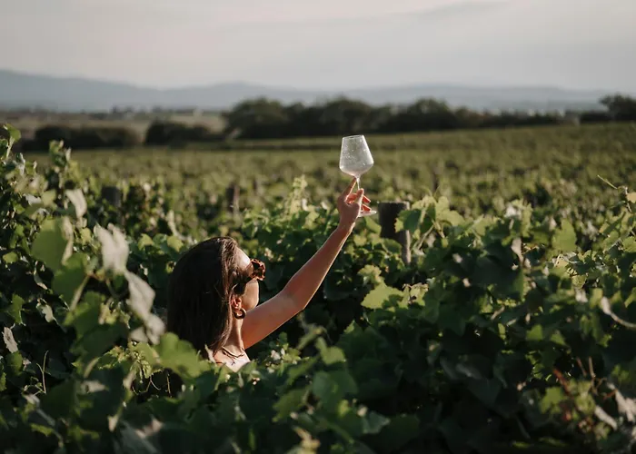 Château Capitoul Resort
