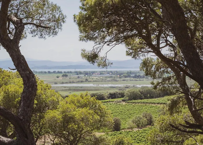 Resort Château Capitoul